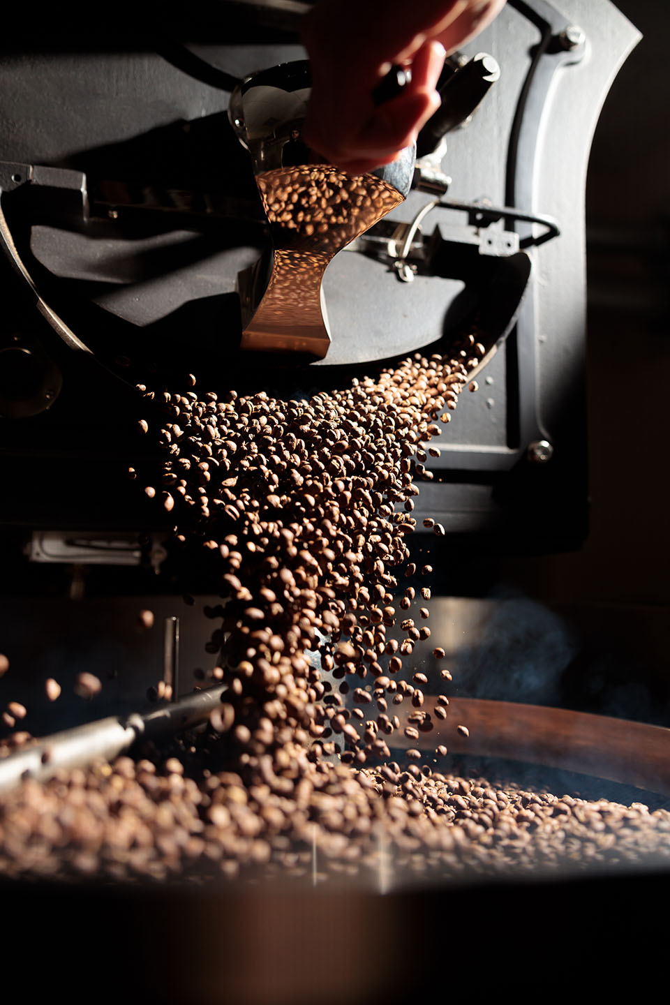Coffee processing
